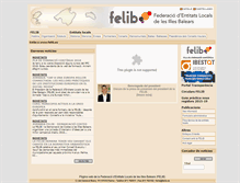 Tablet Screenshot of felib.es